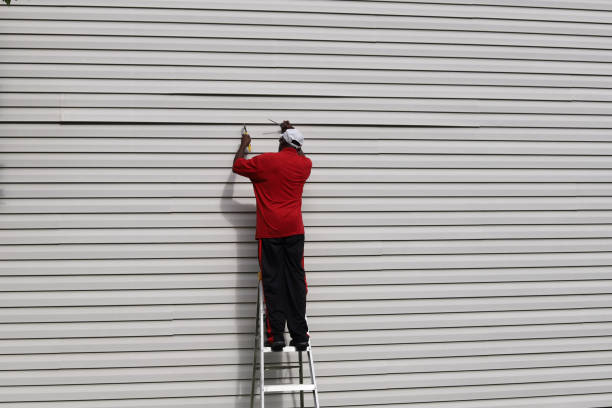 Best Residential Vinyl Siding Installation  in Basye, VA