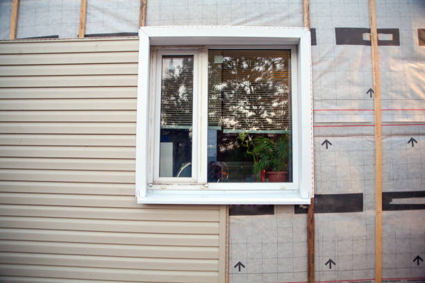 Best Siding for New Construction  in Basye, VA