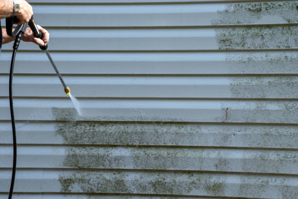 Best Custom Trim and Detailing for Siding  in Basye, VA