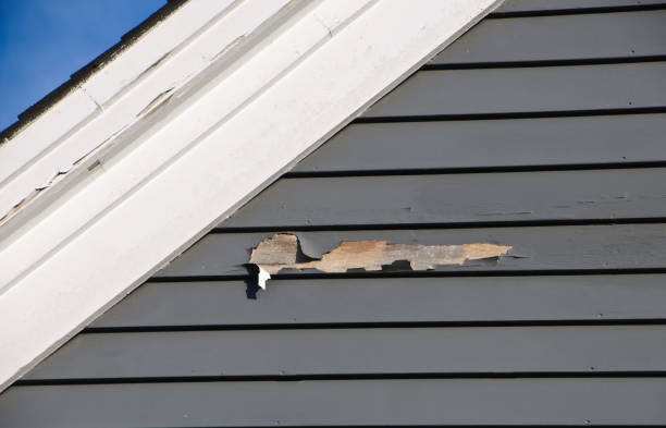 Best Wood Siding Installation  in Basye, VA